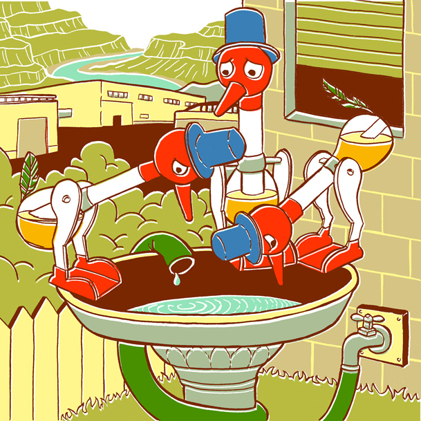 Sad dippy birds. Drought in New Mexico